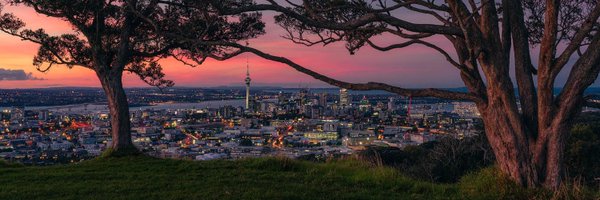 mickylee1235 Profile Banner