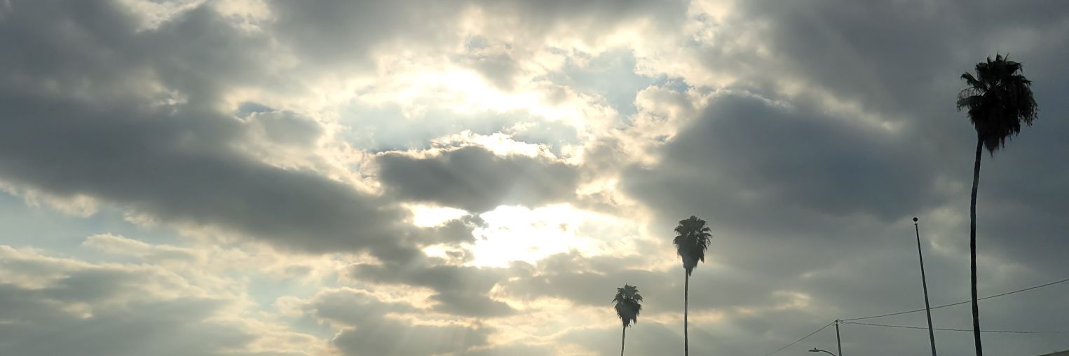 NoirX's profile banner image