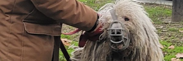 jeffphilips1 Profile Banner