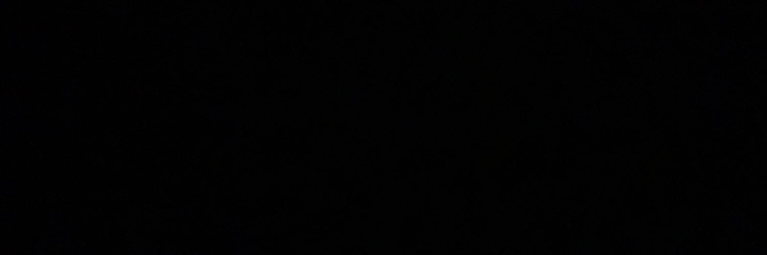 bieel banner