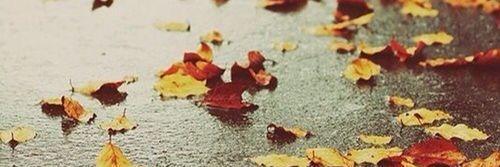 Nadia_Okongo's profile banner image