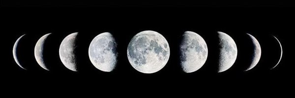 Thefuturespacex Profile Banner