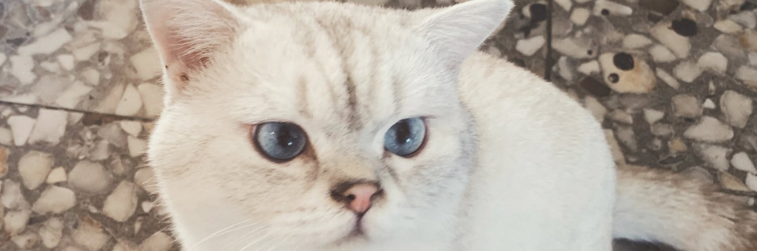 螺 王's banner