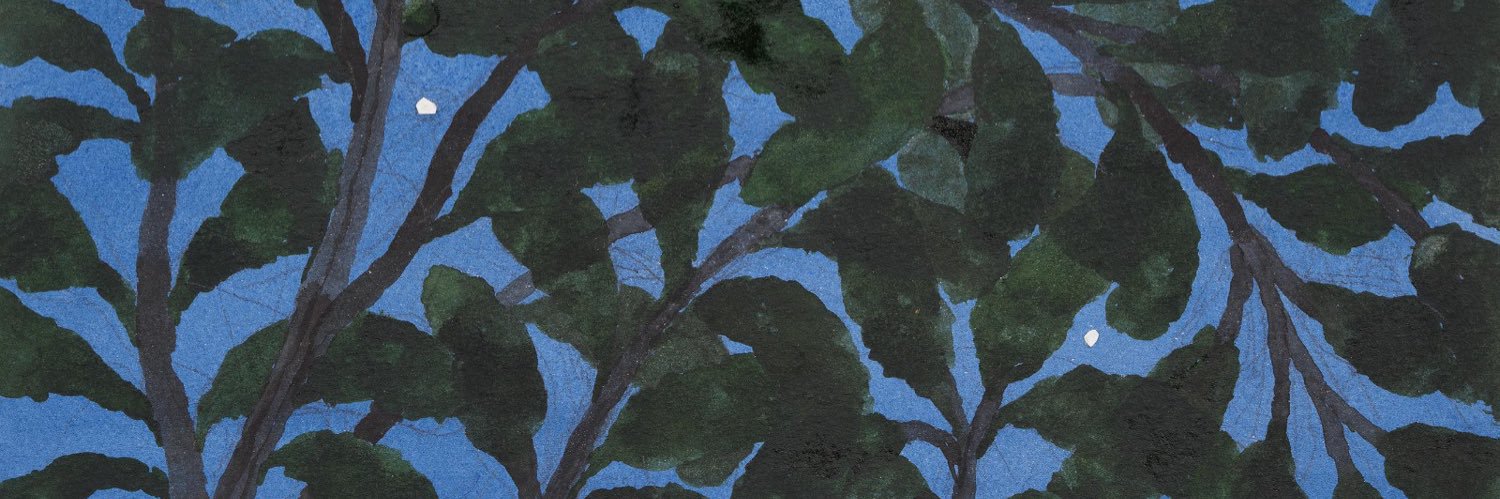 IvetteNadal's profile banner image
