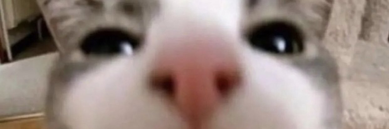 𝐒𝐤𝐲 💕 banner