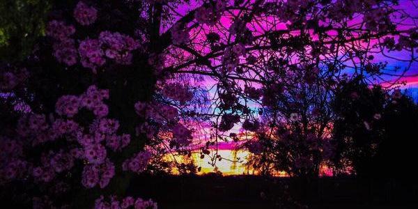 Grace_tanzil's profile banner image
