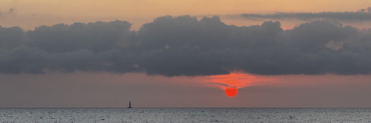 sara 🪩 || disco, occasionally banner