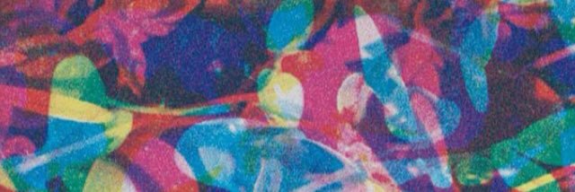 Stéphane Diego banner