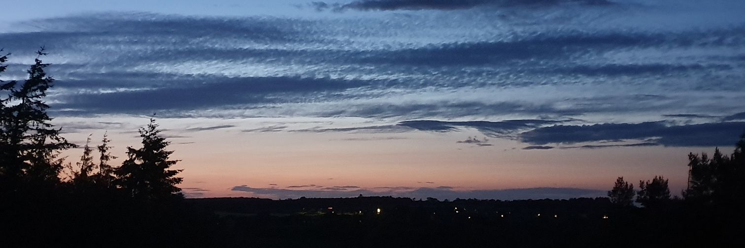 Sarah ESCQEdin banner