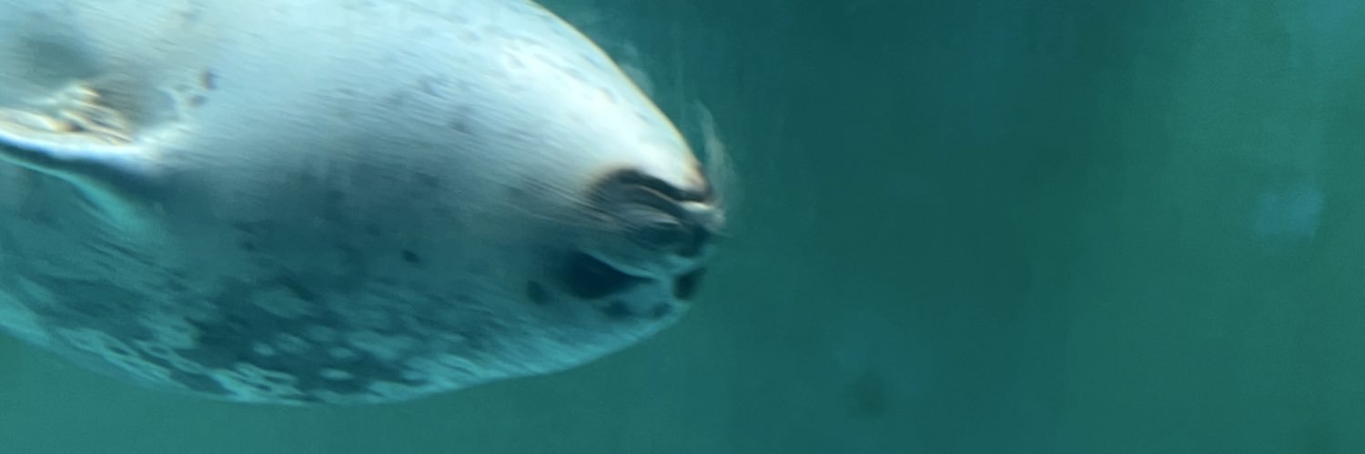 つちやのゆーほう banner