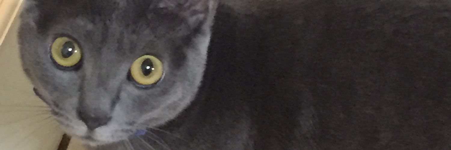 dna666rage's profile banner image