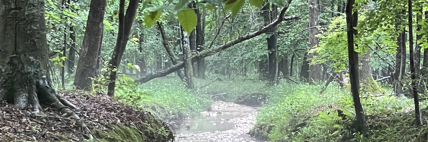mjmullen73's profile banner image