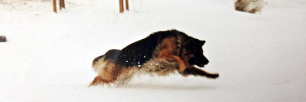 hrhraj Profile Banner