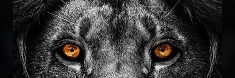efeoghene_'s profile banner image