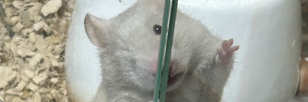 jimanonisan Profile Banner