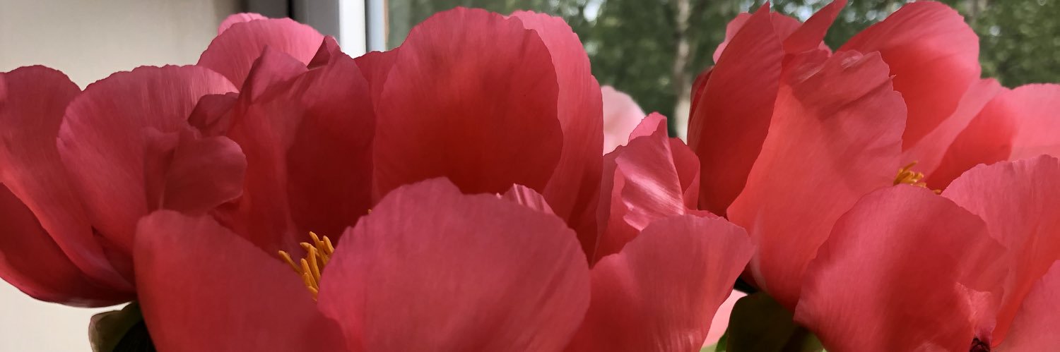 katieegoodwin's profile banner image