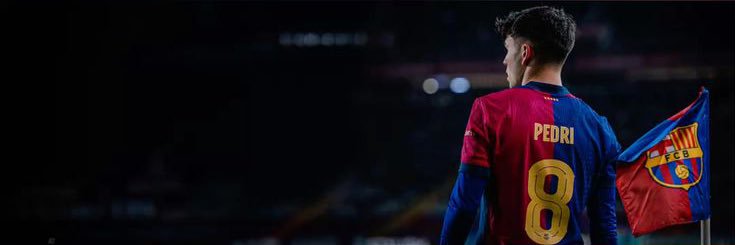 🍓 banner