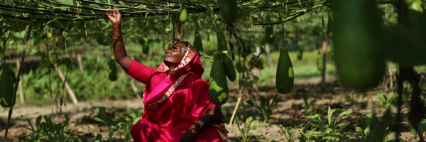 lindsaycoates Profile Banner