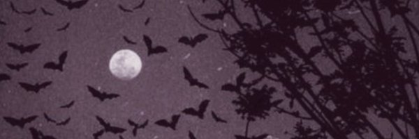 mushrooz_ Profile Banner