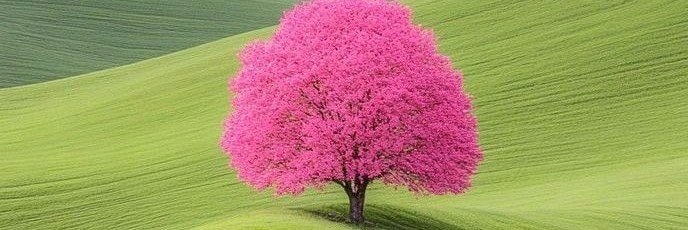 Nature Feels Only banner