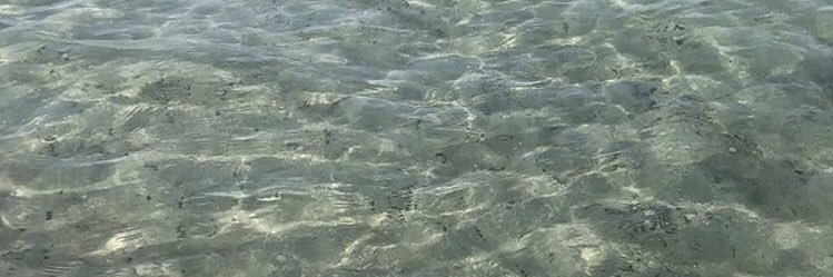 fkosty's profile banner image