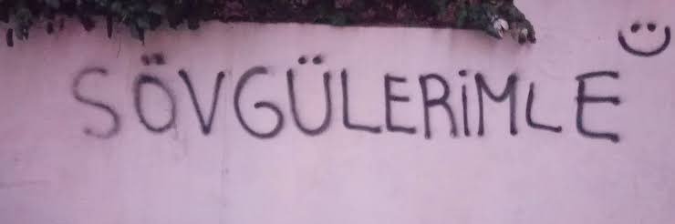 bilgesto ⛵️💙🌸🌿🐈☕️🎶🕊☮️🐾 banner