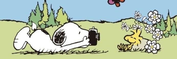 potatochill's profile banner image