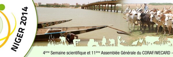 corafregica Profile Banner