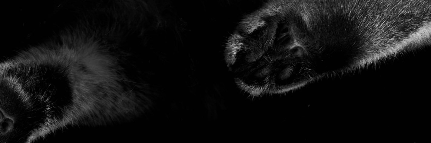 krlx's profile banner image