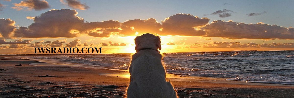 Jayman_IWS's profile banner image