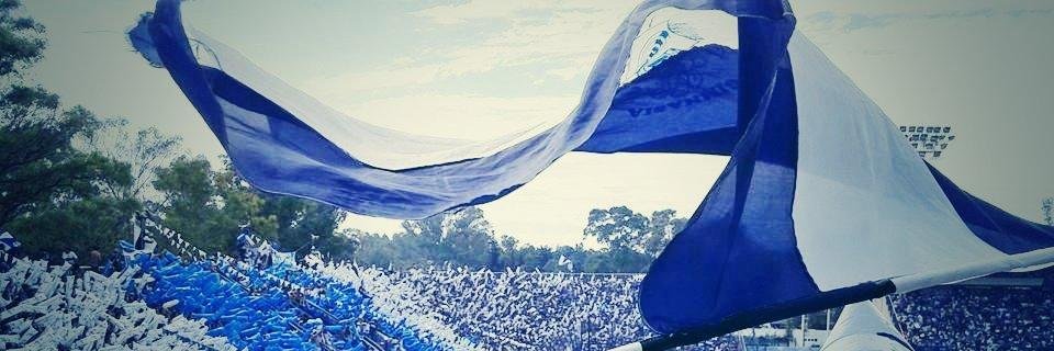 Ariel Martinez banner
