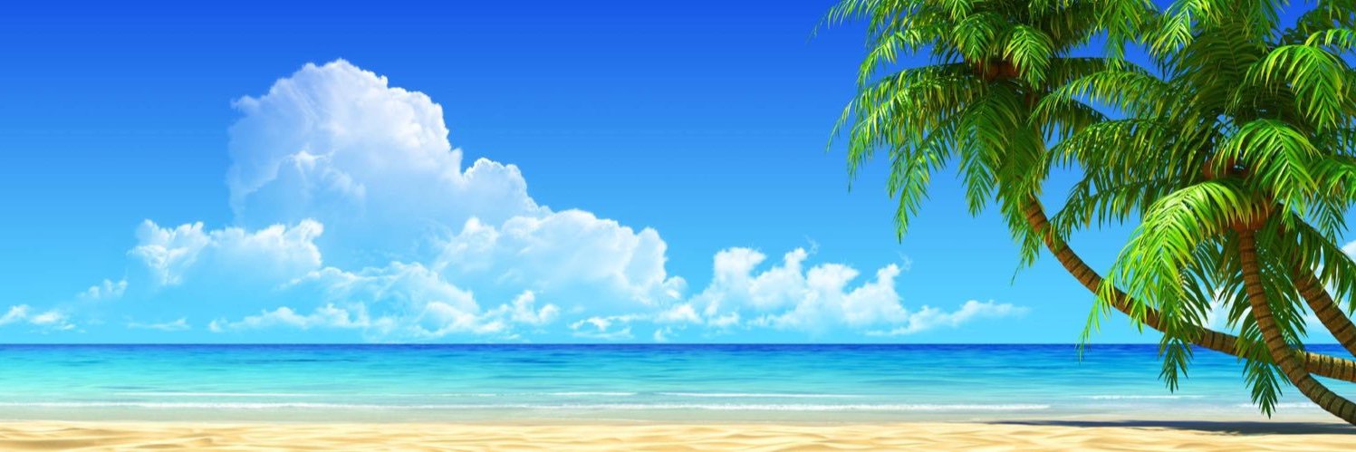 RachelL40976925's profile banner image