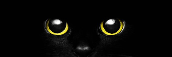 Deric_XXX Profile Banner