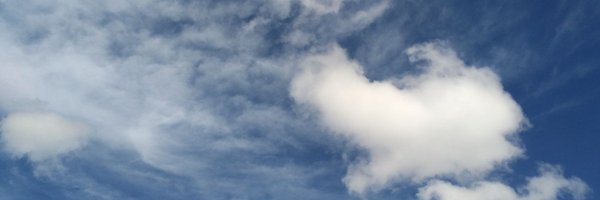 nanixxx_FT Profile Banner