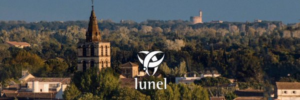 TimotheRodron Profile Banner