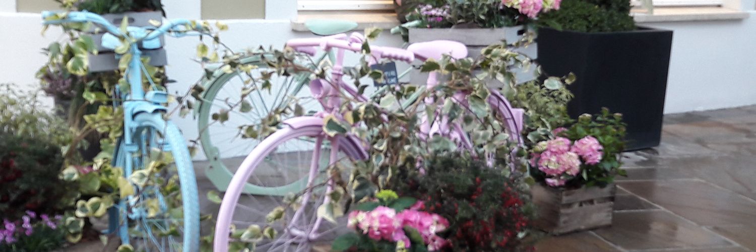 Diabolo fraise banner