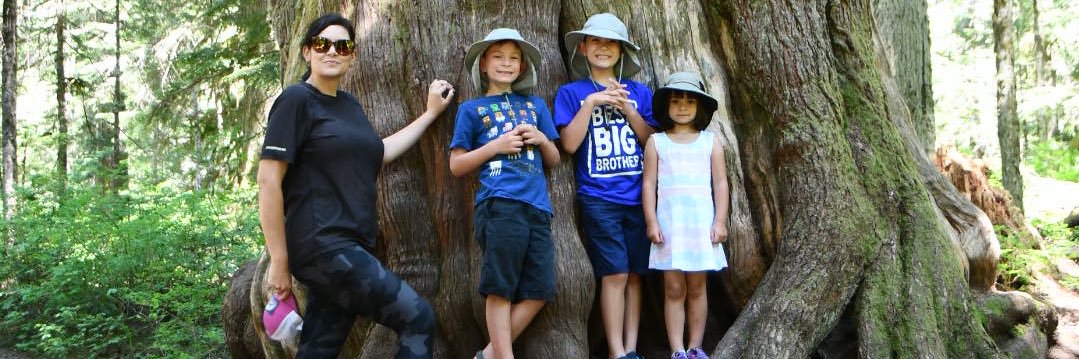 Michael Collado banner