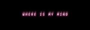 viooleyyt_suns's profile banner image