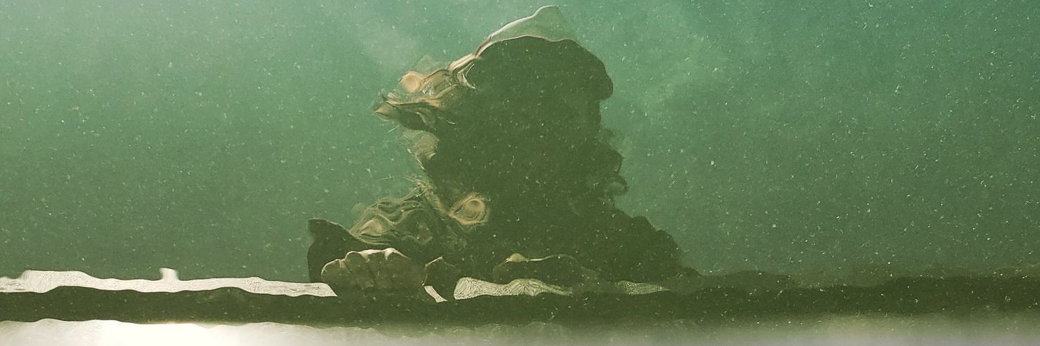mandeceiver's profile banner image