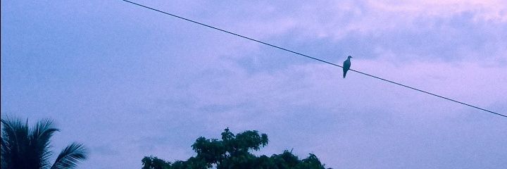 Jennifer🇩🇴🫶🏻 banner
