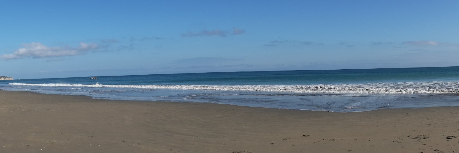 dcaizag's profile banner image