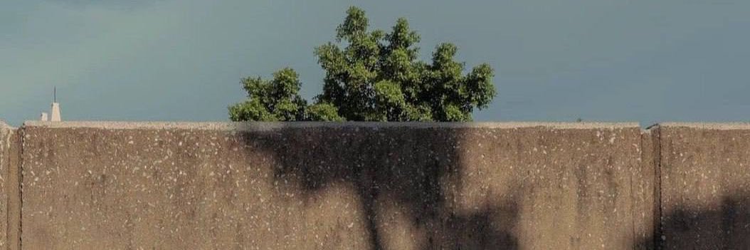 Mehradfalsafi_'s profile banner image