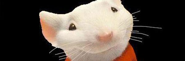 SlappyBaIIs Profile Banner