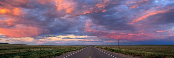 lilyej Profile Banner