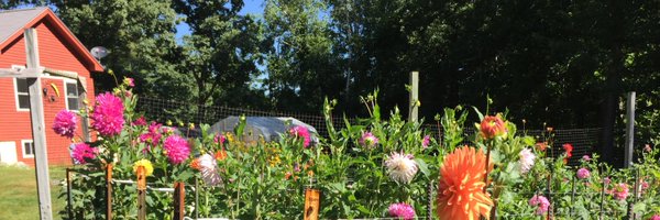 ShaunaKarel Profile Banner