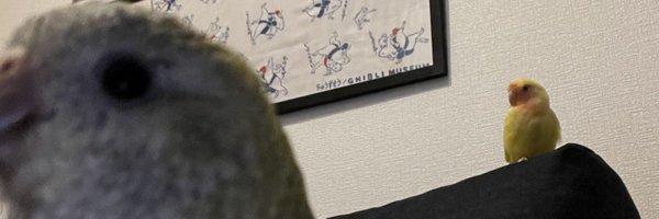 F_1010u Profile Banner