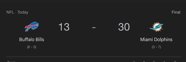 DolphinsMuse Profile Banner