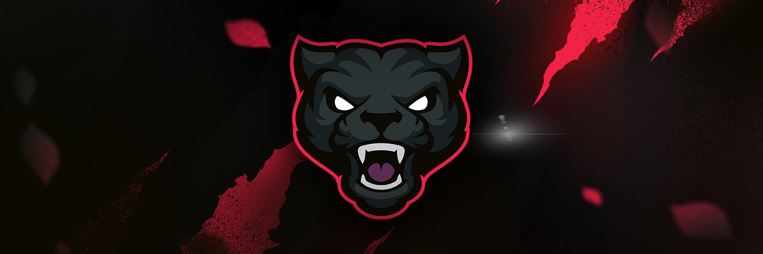 invidau's profile banner image