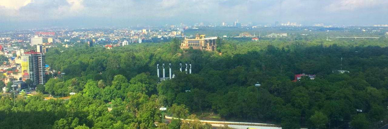 ʙʟᴀᴄᴋ ʀᴀᴠᴇɴ banner