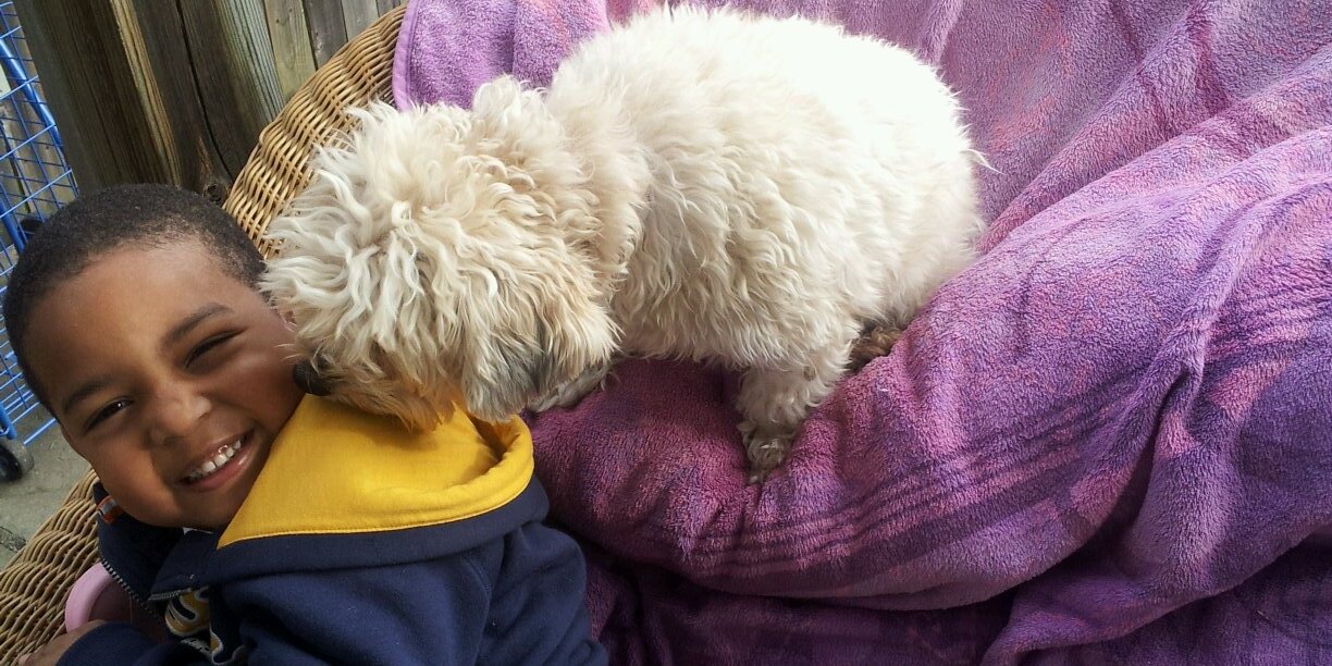 Mary Calton Gerard banner